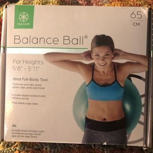 Gaiam Balance Ball & the Exercise Ball Bible Paperback Book by Lucy Knight